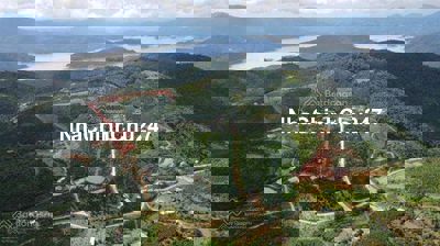 LÔ ĐẸP 180M ĐỐI DIỆN NÔNG TRƯỜNG VIEW ĐẸP LỘC NGÃI, BẢO LÂM