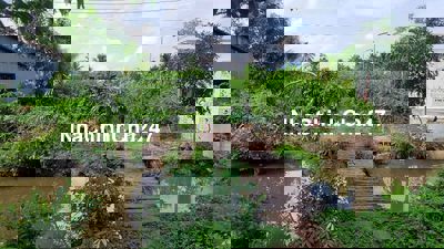 Bán đất mặt tiền lộ HL173, Châu thành, Bến tre 10m mặt tiền