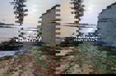 Đất ở Nông Thôn ấp Vĩnh Thạnh, Phước Vĩnh Đông, Cần Giuộc