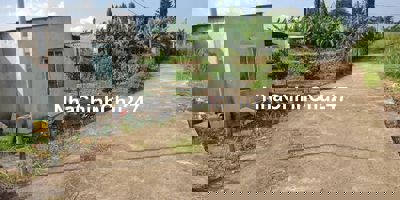 Bán Vườn Mít Thái Lô Góc 2 Mặt Đường Bê Tông 50m, Giá 850 Triệu/1000m²