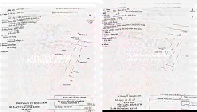 Bán 500m2 Mặt Tiền Cây Thông Ngoài, Chỉ 2,5 tỷ Thích hợp Làm kho Xưởng