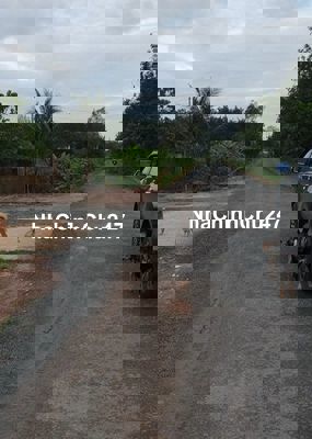 Ngộp lãi cắt lỗ sâu đất đường nhựa, tại xã Tân Đông,Tân Châu, Tây Ninh