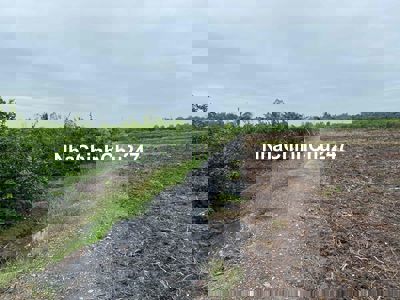 547m2 Vườn (15x35) Cho Lên Full Thổ, Đường Xe Hơi, Cách DT816 300m