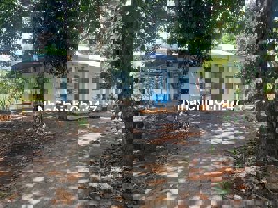 📢 BÁN GẤP 4600M² TẠI ĐỊNH QUÁN – 101M MẶT TIỀN – GIÁ CHỈ 2 TỶ TL 🏡