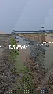 BÁN ĐẤT CẦN GIỜ 5ty3 – MẶT TIỀN ĐƯỜNG ĐÁ XANH 3M – GẦN UBND XÃ LÝ NHƠN