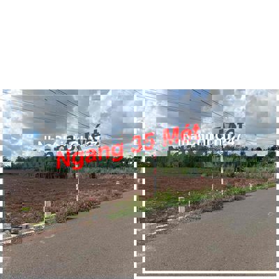 Đất trồng cây hàng năm 7832 m2 mặt tiền xe tải 8m