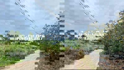 CHỦ NGỘP bank Bán vườn 1000m2 qh full thổ cư chỉ 420tr