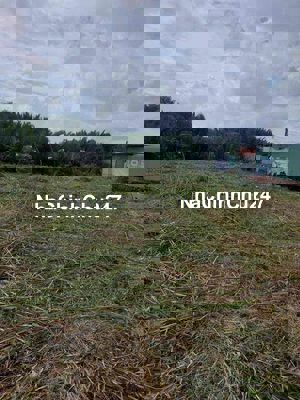 BÁN 523 M2 ĐẤT ( CLN) LÔ GÓC 2 MẶT TIỀN LVL , NHƠN ĐỨC ,NHÀ BÈ