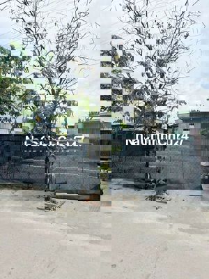 ĐẤT 9,5 X21 MẶT TIỀN ĐƯỜNG BÊ TÔNG 6M THÔNG, CÁCH KÊNH TRUNG ƯƠNG 150M