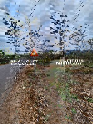 Cần bán đất Mặt Tiền đường Núi Tượng - Đồng Nai 4700m2