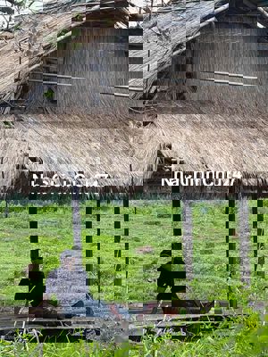 1 HECTA ĐẤT CÓ NHÀ MẶT TIỀN ĐƯỜNG NHỰA TIỆN TRỒNG TRỌT,NHÀ XƯỞNG, BP