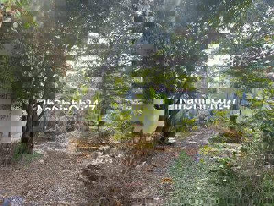 Chính chủ Bán đất NN 235 mét,5 tỷ(TL),P.Tân Thới Hiệp,Q12,KDC Tân Tiến