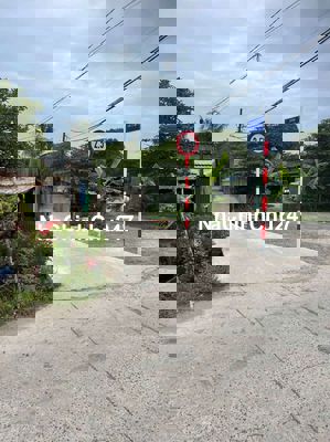 BÁN ĐẤT NÔNG NGHIỆP GIÁ RẺ TẠI BÌNH CHÁNH 1.000M2