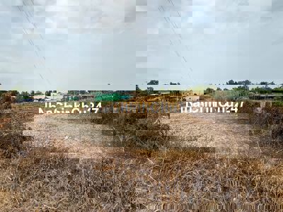 BÁN LÔ ĐẤT 2.000m² MẶT TIỀN ĐƯỜNG LÁNG CÁT – BÌNH CHÁNH, SHR