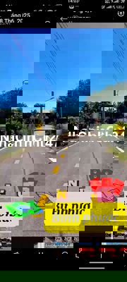 Vườn mít thái đang thu hoạch. Chủ gửi 208tr