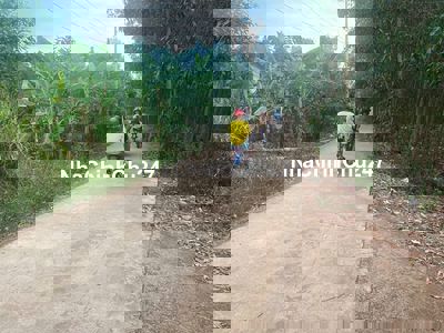 BÁN 1 XÀO CÓ 10M MẶT TIỀN ĐƯỜNG BÊ TONG CHỈ VỚI GIÁ 550 TRIỆU