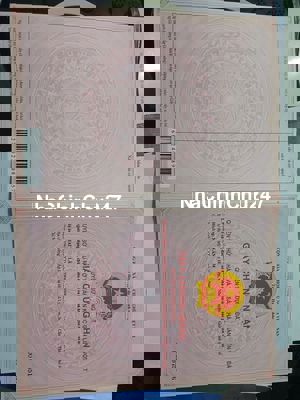 BÁN ĐẤT ĐẸP (vuông vức) mặt tiền đường TẠI XÃ LÝ NHƠN, CẦN GIỜ -  2 TỶ