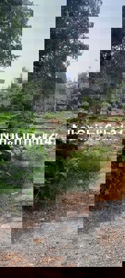 Bán 1825m đất mặt tiền đường vào Miếu Bà Lân Cai Van,Long Thọ,Đ Nai