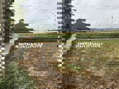 Bán đất nông nghiệp quy hoạch thổ cư