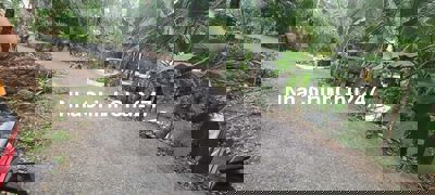 ĐẤT MẶT TIỀN LỘ NHỰA Ô TÔ, XÃ TÂN LƯỢC, BÌNH TÂN, VĨNH LONG