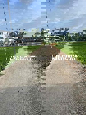 bán đất lúa mặt tiền đường mỹ lộc cần giuộc long an