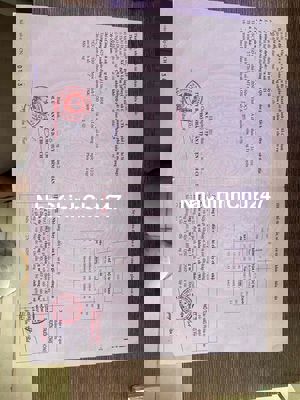 Đất mặt tiền đường 234 Bình Chánh