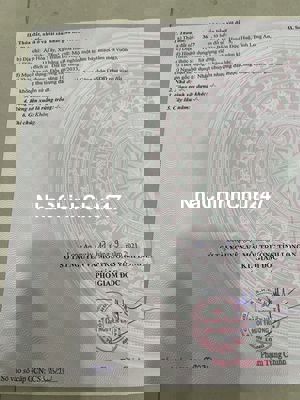 Đất trồng cây được lên đất thổ cư. Đã có sổ