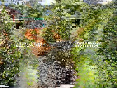 ĐẤT SUỐI - CÓ THỔ CƯ - CÁCH QL20 CHỈ 800M - ĐƯỜNG Ô TÔ