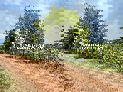 Bán vườn tại xã An Phú, Củ Chi, TPHCM 5,3 tỷ, 2861 m2 , thổ cư 95,6 m2