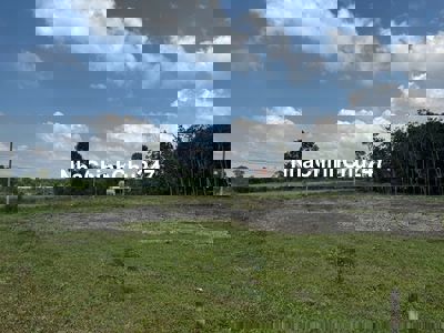 Đất cây lâu năm, mặt tiền Hương lộ 23, Hoà Hội, Châu Thành, Tây Ninh