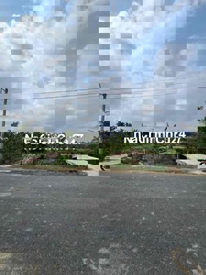 Đất mặt tiền đường 907 gần thị trấn Vũng Liêm