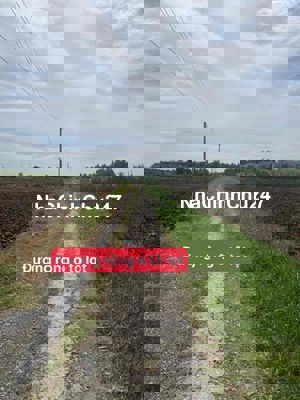 Đất ruộng đường ô tô và mặt tiền sông khu có dân