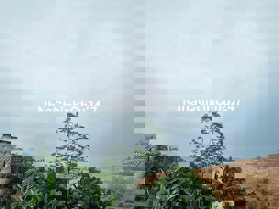 Bán 1160m Yên Bình Thạch Thất Hoà Lạc điểm ga Metro