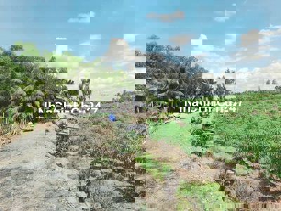 Hàng Thơm, 500m2 đất vườn chuyển thổ View Kênh chỉ 550tr