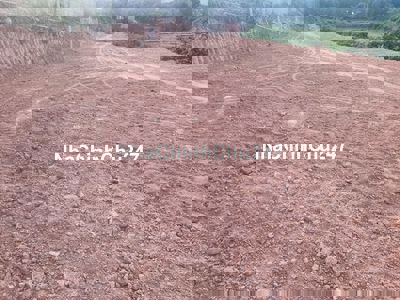 Bán Lô Đất Trồng Cây Lâu Năm Mặt Tiền Đường DT 602