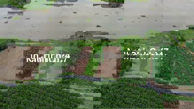 Đất view hồ giáp mặt nước đường nhựa, cách Becamex tầm 3km 15m x 69m