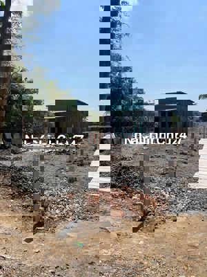 Chỉ 3tr9/m2 có 300m2 thổ cư và 1000m2 CLN mặt tiền liên ấp 2-3,NBe