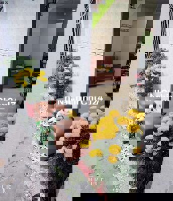 Nhà P1 gò vấp chính chủ bán