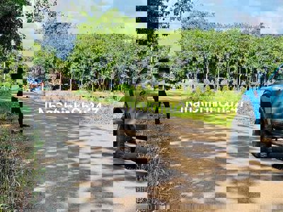 Cần bán lô đất 1138m2 giá 250 triêu, mặt tiền đường nhựa, shr