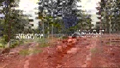 Bán 2,2 hecta - 22,000m2 đất CCN Long Tân 200m mặt tiền - Phú Riềng BP