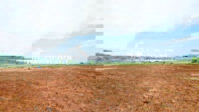 Cần bán hơn 1 hecta bám 140m mặt đường, Quy hoạch thổ cư.