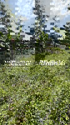 Đất Mặt Tiền Hẻm C1 Đường Vĩnh Lộc Đường Dẫn Vành Đai 3