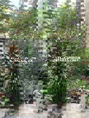 BÁN MẢNH ĐẤT KIM CHUNG, LAI XÁ 30M2, 30M ÔTÔ GẦN ĐƯỜNG 32, GẦN GA NHỔN