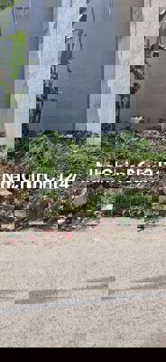 Đất ngõ nông, ngõ thông, ngõ rộng giá đầu tư