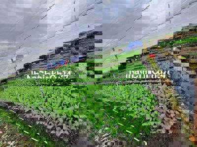 sang lại Vườn rau ngay góc ga 3