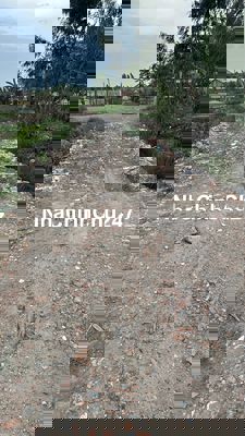 Bán Đất Vườn Vĩnh Lộc Vuông Vức 10x30 Điện nước trước mặt đất