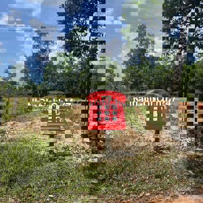 🌹MÌNH CHÍNH CHỦ CẦN BÁN LÔ ĐẤT THÔN LA THÁP. DUY HOÀ. DUY XUYÊN QNĐN