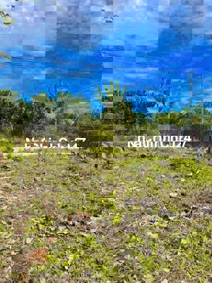 Chính chủ cần bán lô đất 154m2 tại xã Tân Thông Hội, Củ Chi