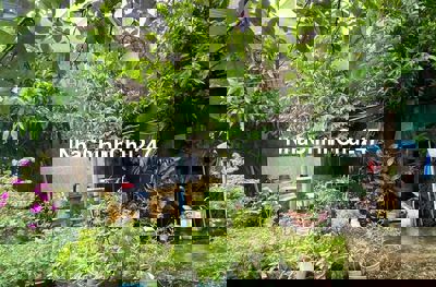 NHÀ C.4- 2PN- 8TR/THÁNG- D.9 TRƯỜNG THỌ, THỦ ĐỨC