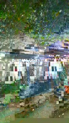 🏡 Nhà xinh chính chủ Gò Vấp, hxh, 22m2, 2 tầng, chỉ 2.3 Tỷ.